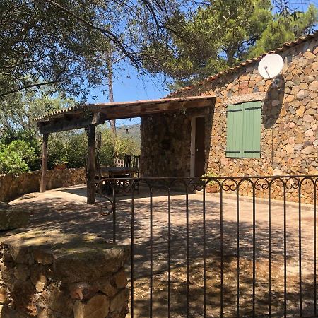 Maison De Campagne Sarragia Esterno foto