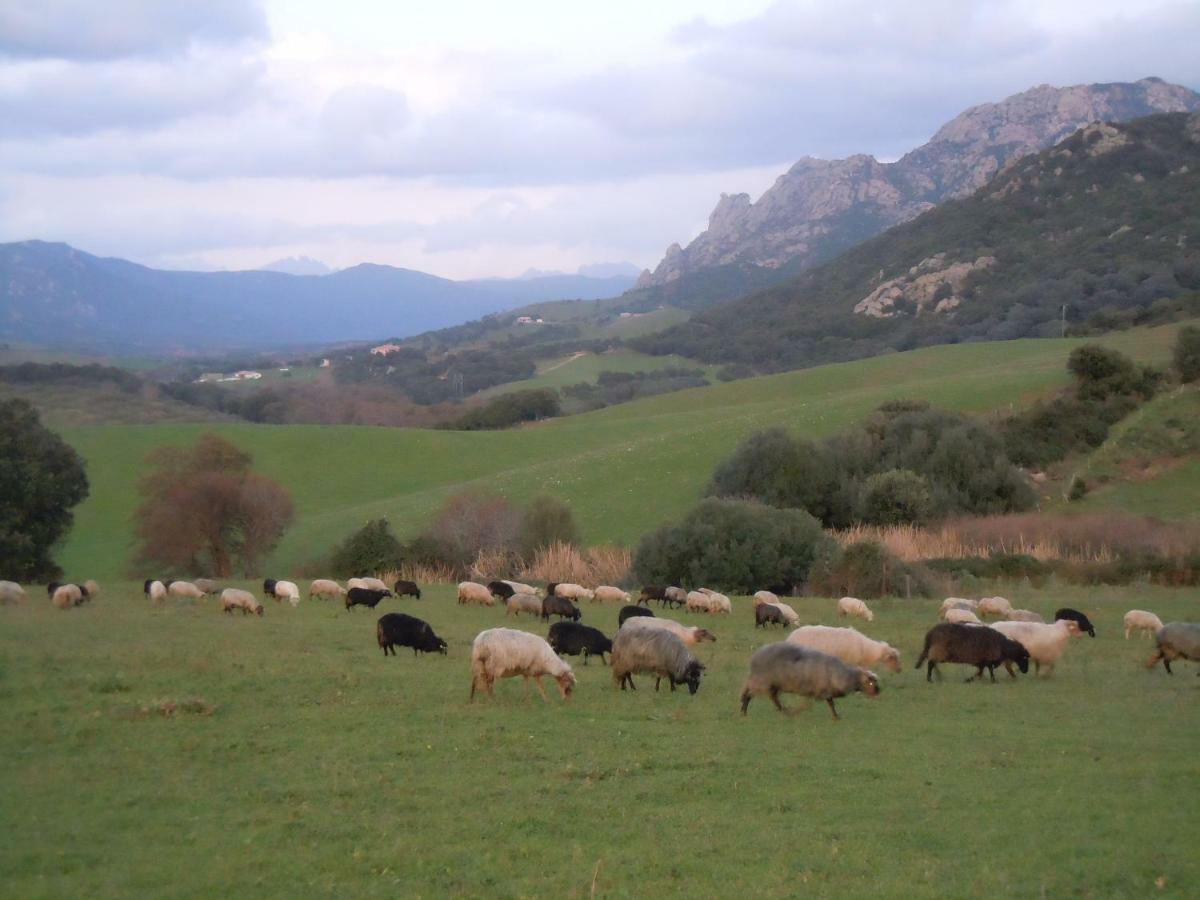 Maison De Campagne Sarragia Esterno foto