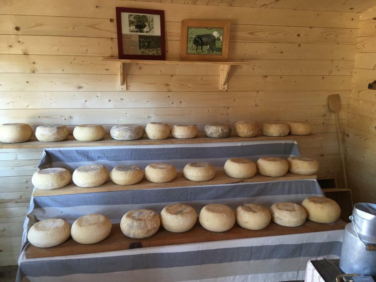 Maison De Campagne Sarragia Esterno foto